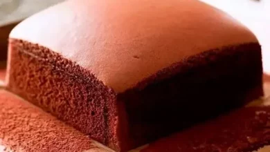 castella chocolate cake