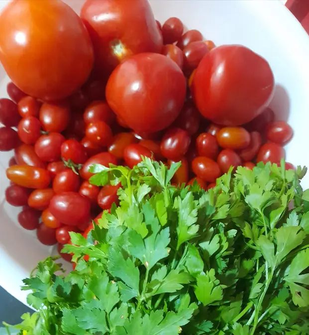 Tomato Recipe