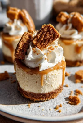 No Bake Mini Biscoff Cheesecakes