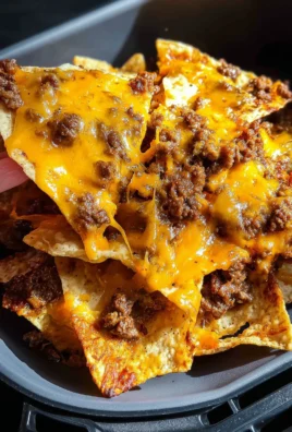 Air Fryer Nachos
